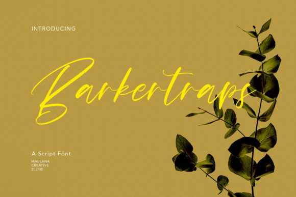 Barkertraps Font Review: Elegant Script for Branding