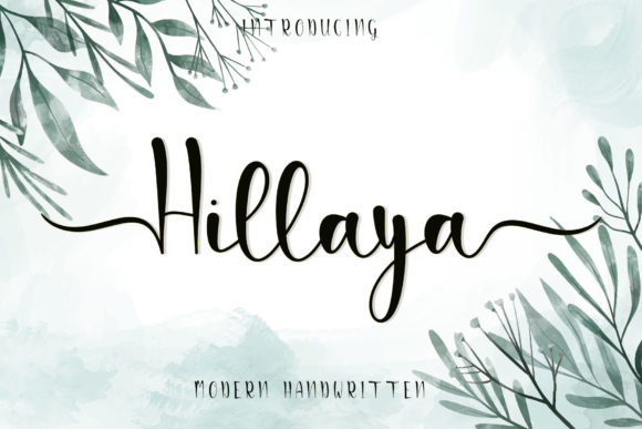 Hillaya: The Chic Script Font for Elegant Brand Identity