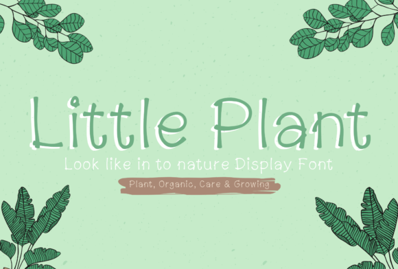Little Plant Typeface for Nature-Inspired Handmade Brands
